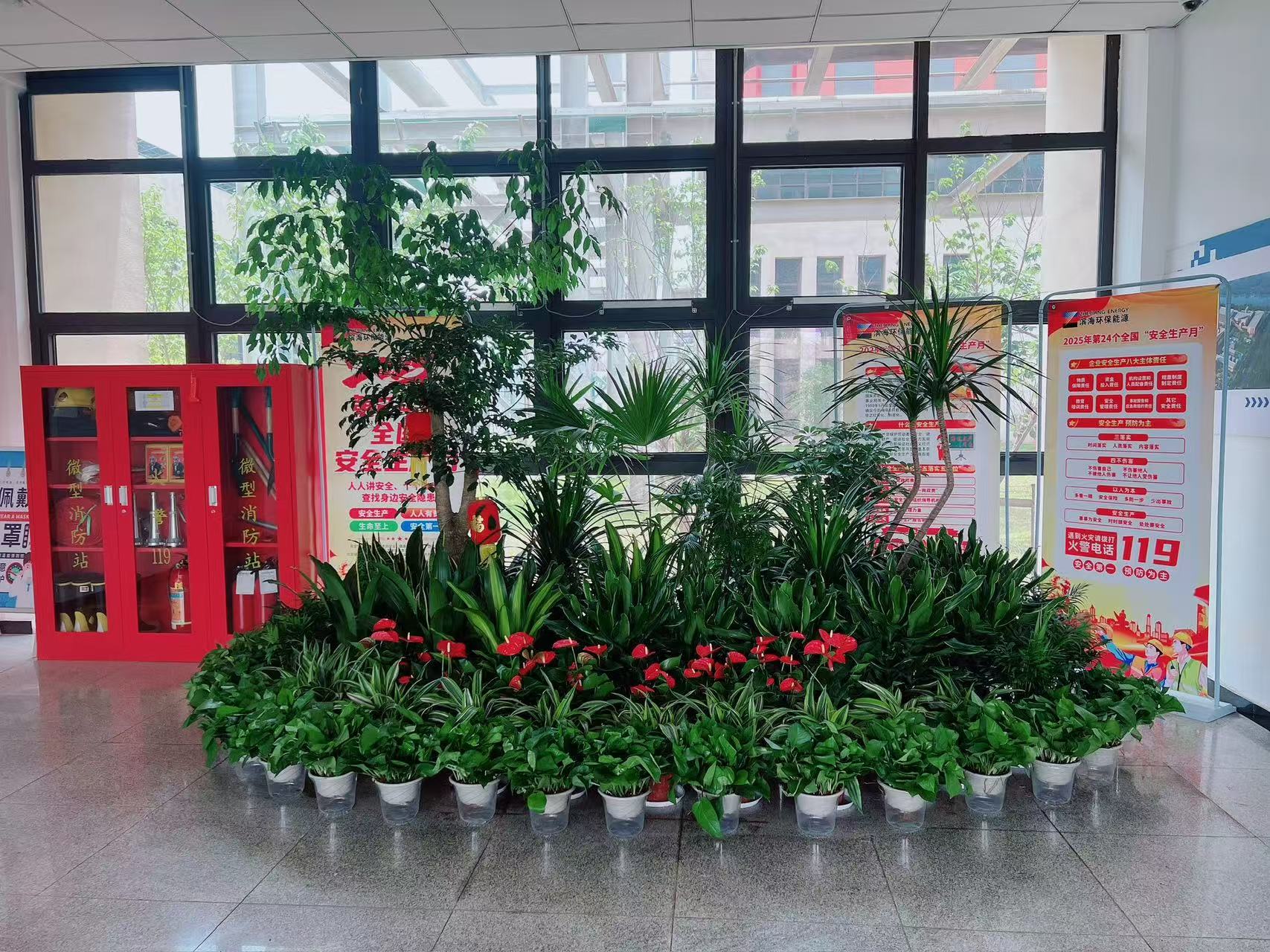 宁波盆景出租，价格超实惠，装点空间超划算！