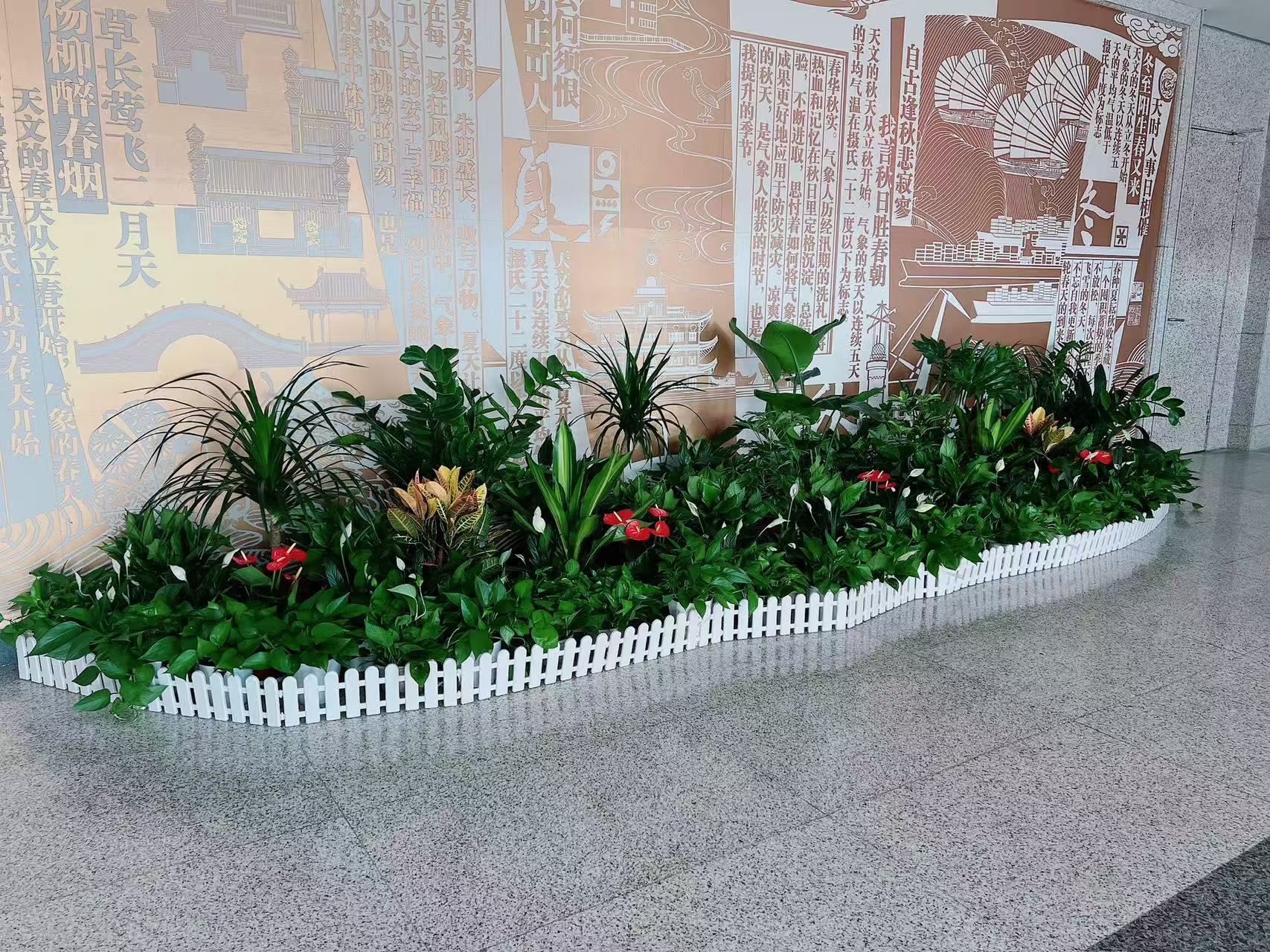 速看！宁波绿植出租方案，点亮你的空间色彩！